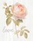 Garden Rose on Wood Love Poster Print by Danhui Nai - Item # VARPDX37142